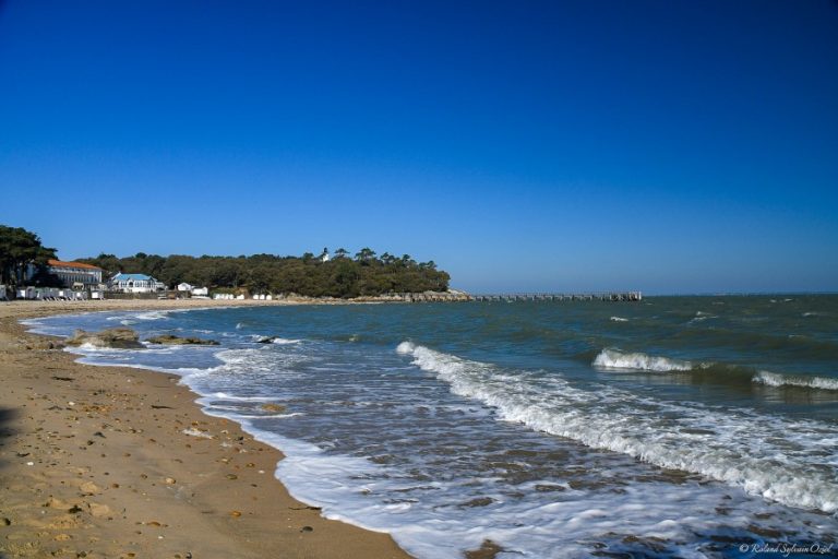 Lire la suite à propos de l’article Que faire sur l’île de Noirmoutier ?